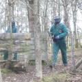 Paintball in woods